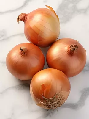 onions image